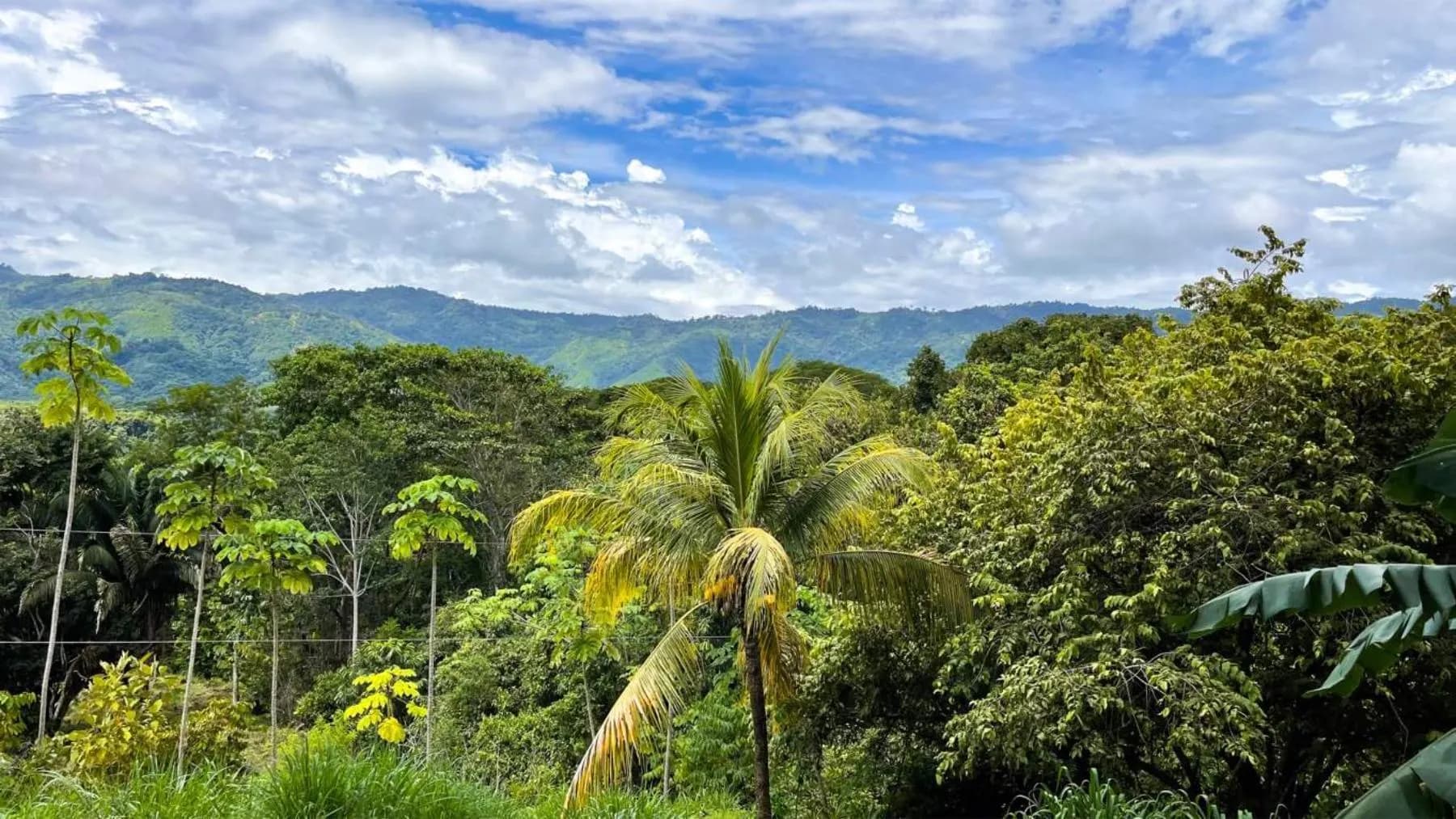 Terreno en Puerto Cortés