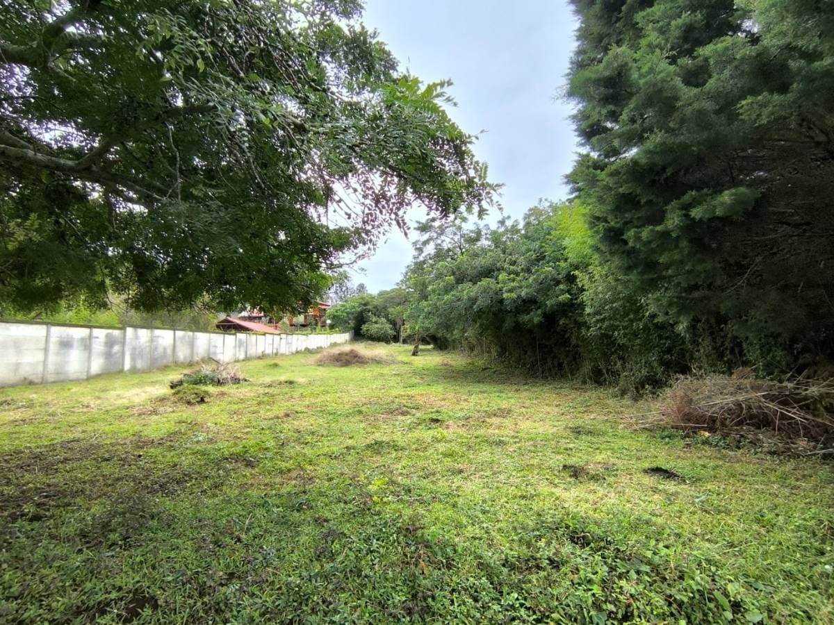 Propiedad en Ángeles