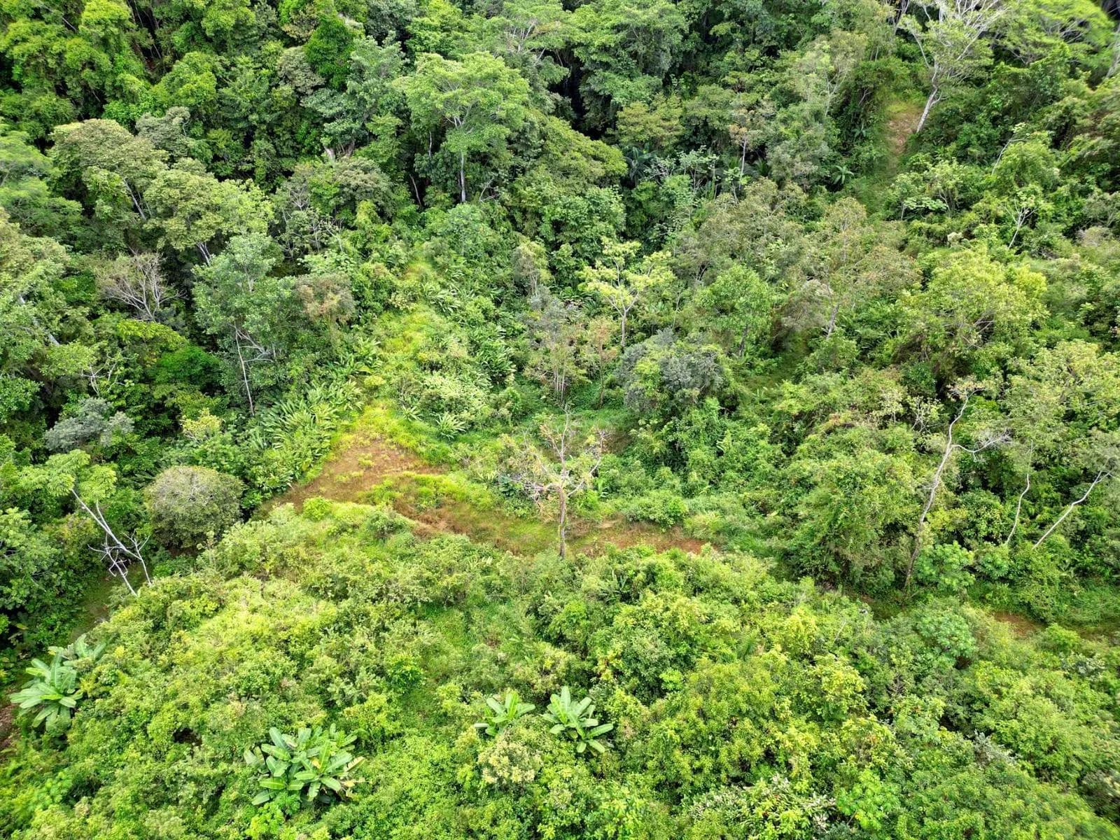 Land at Quepos