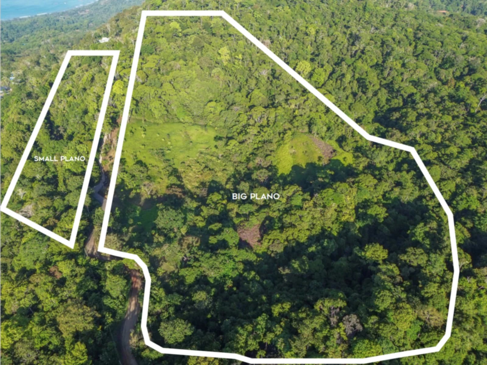Land at Bahía Ballena