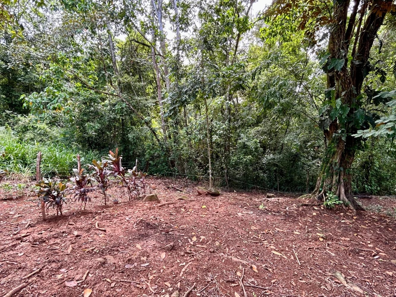 Terreno en Bahía Ballena