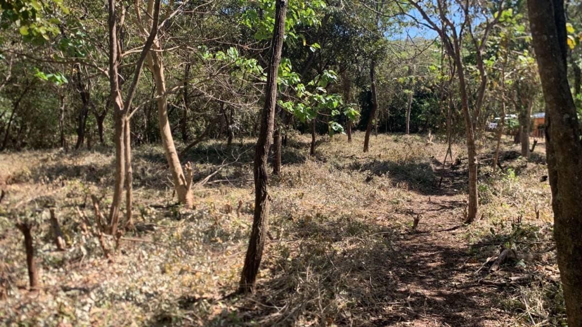 Propiedad en Tamarindo