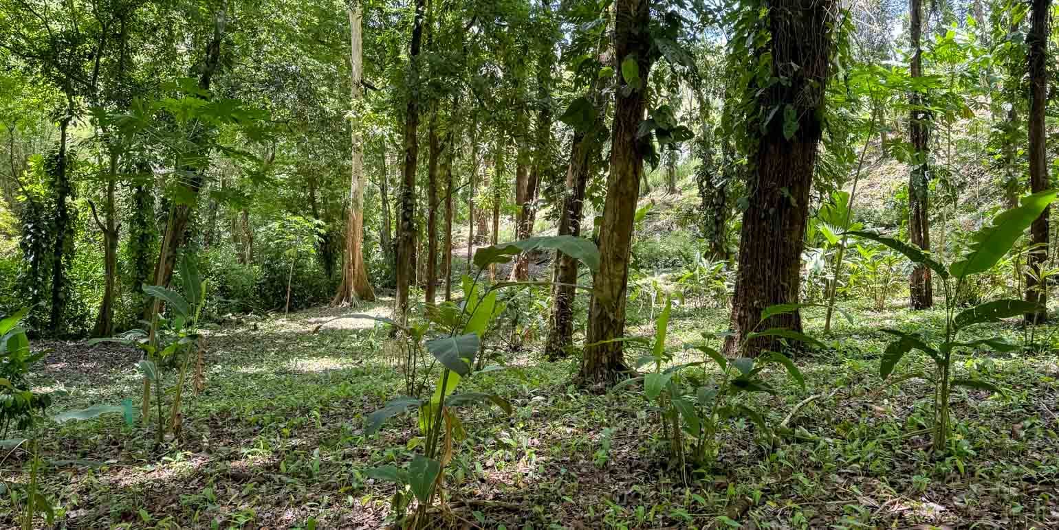 Propiedad en Oasis Sereno