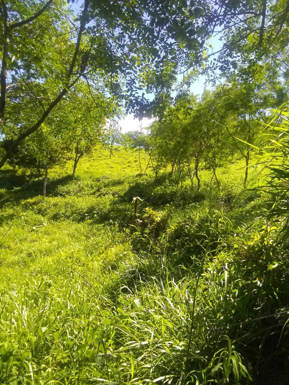 Estate at Gutiérrez Braun