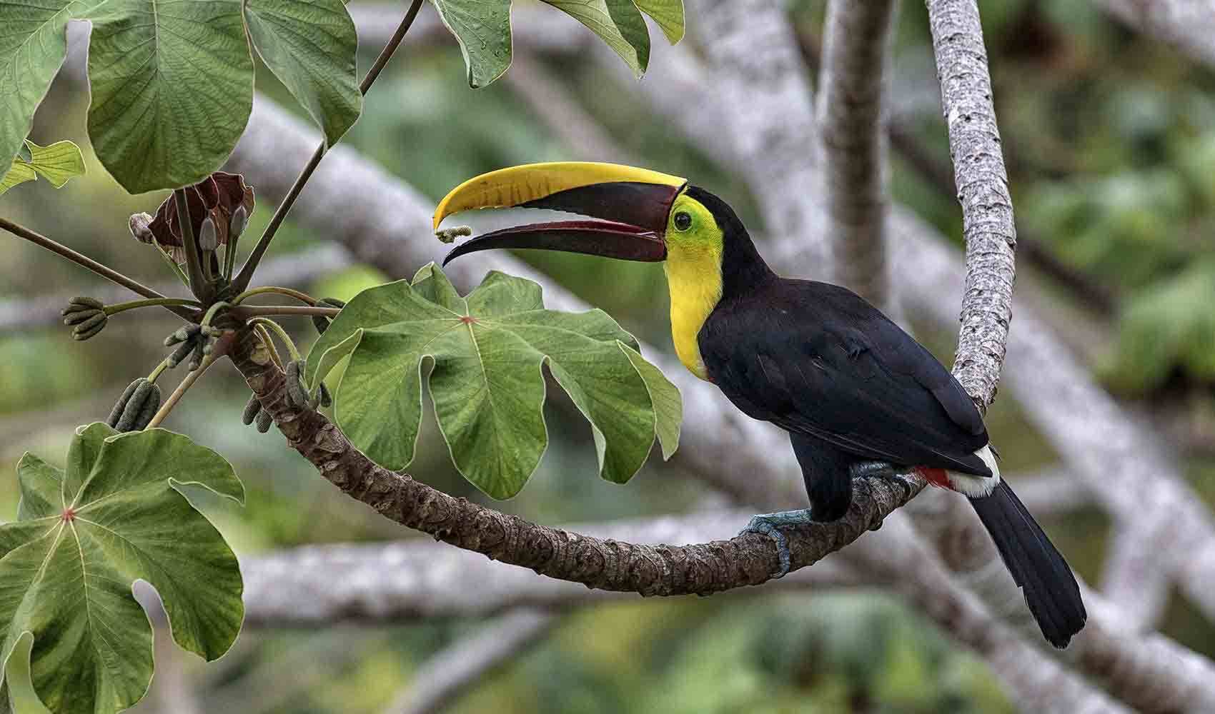 Casa en Quepos