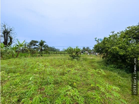 Terreno en Roxana