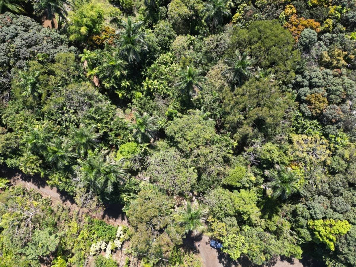 Property at La Garita