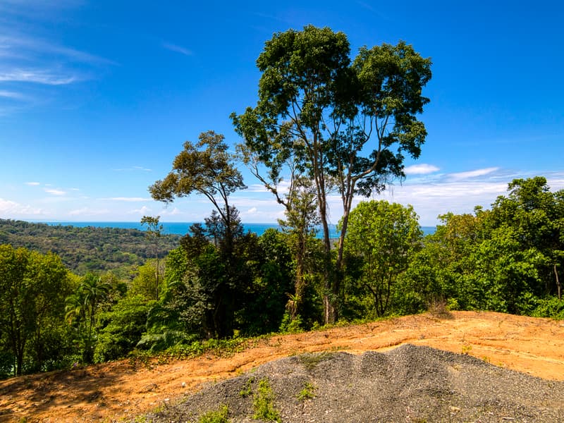 Land at Bahía Ballena