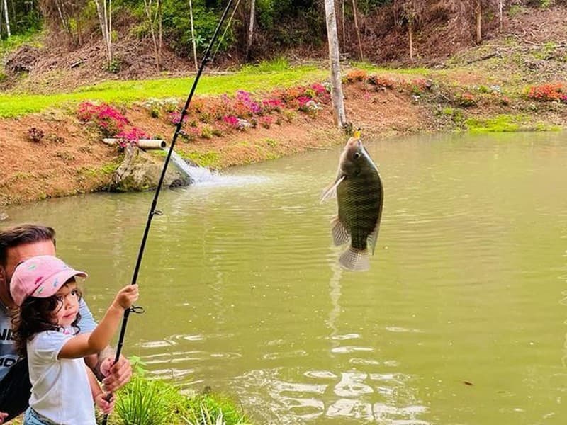 Land at San Isidro del General