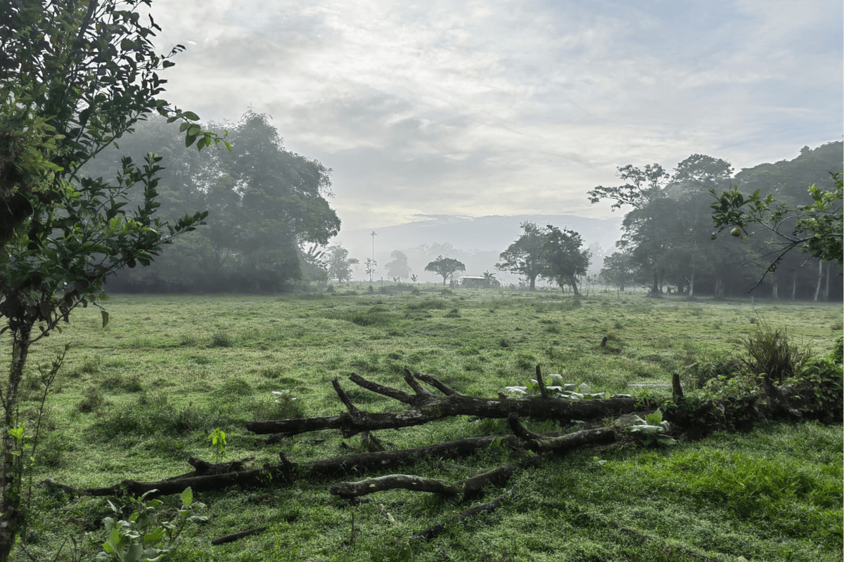 Estate at Puerto Viejo