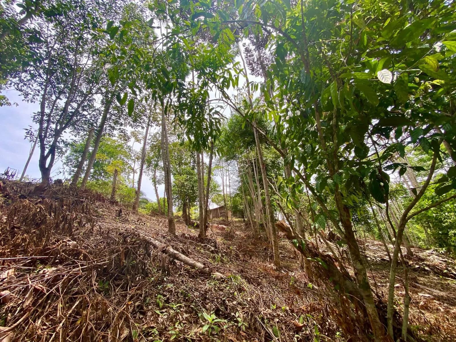 Terreno en Puerto Cortés