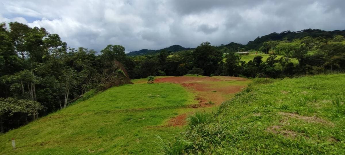 Property at San Juan de Mata