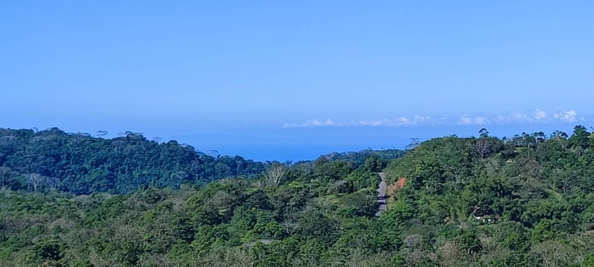 Property at Tarcolitos