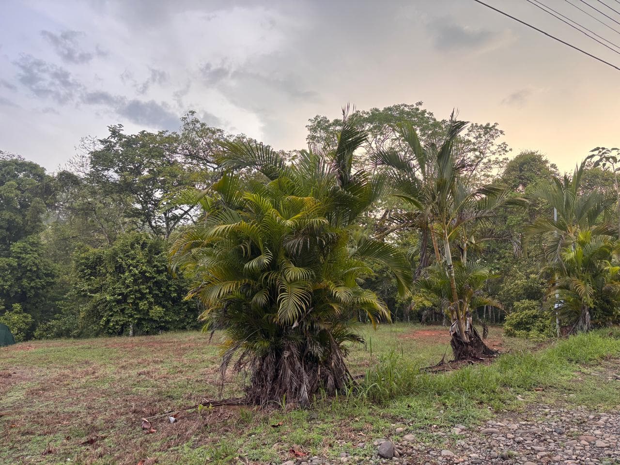 Land at La Garita