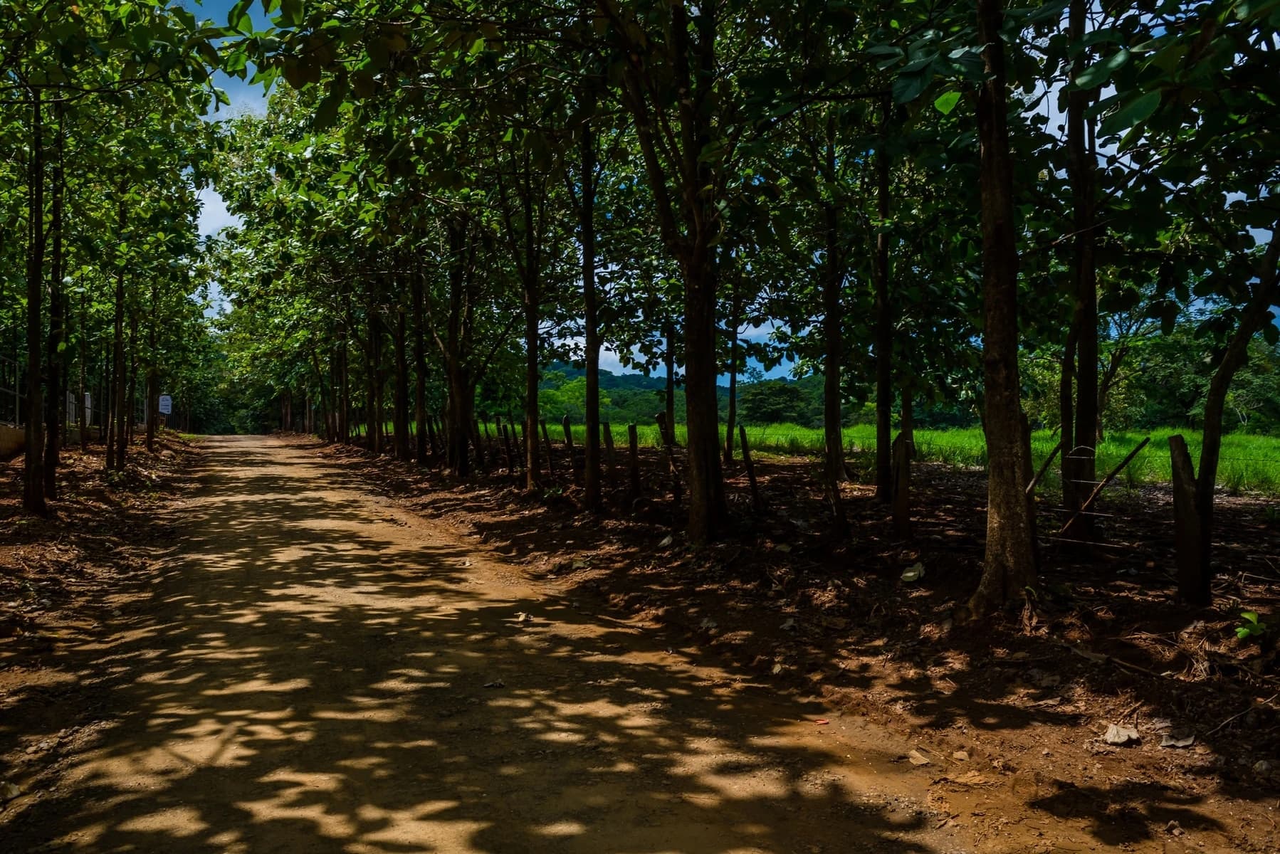 Terreno en Tamarindo