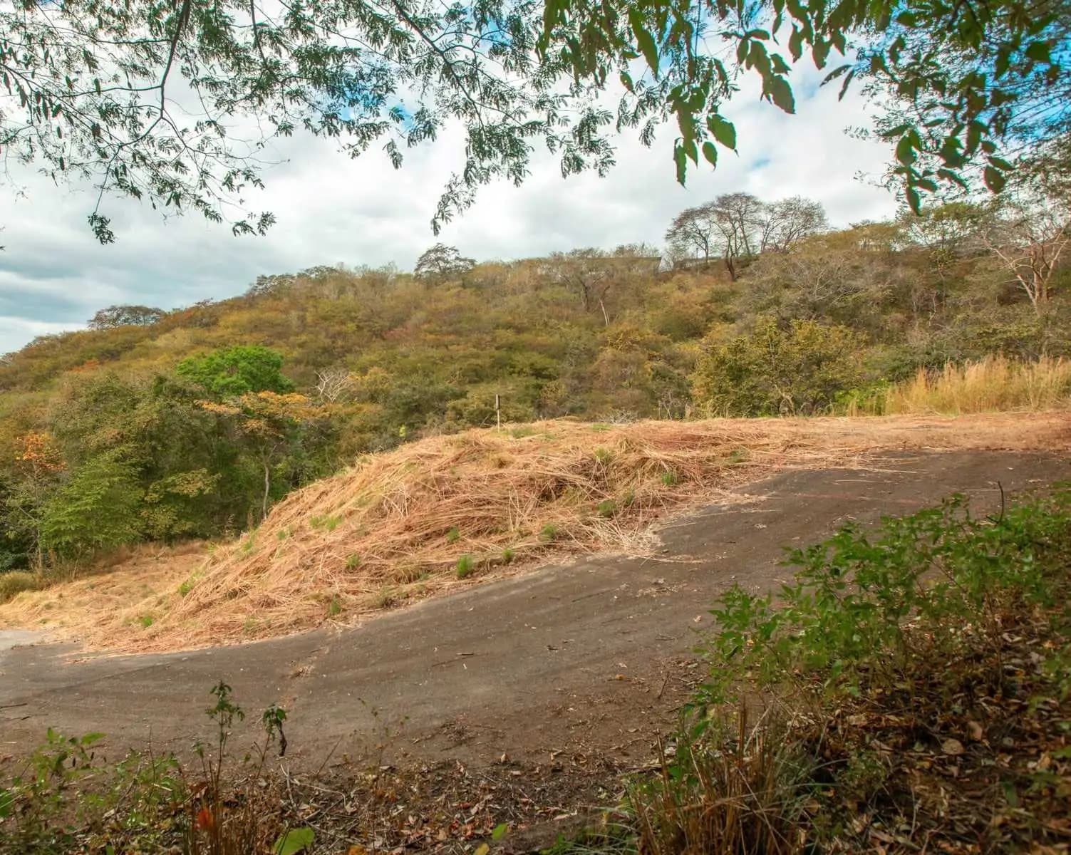Terreno en Sardinal