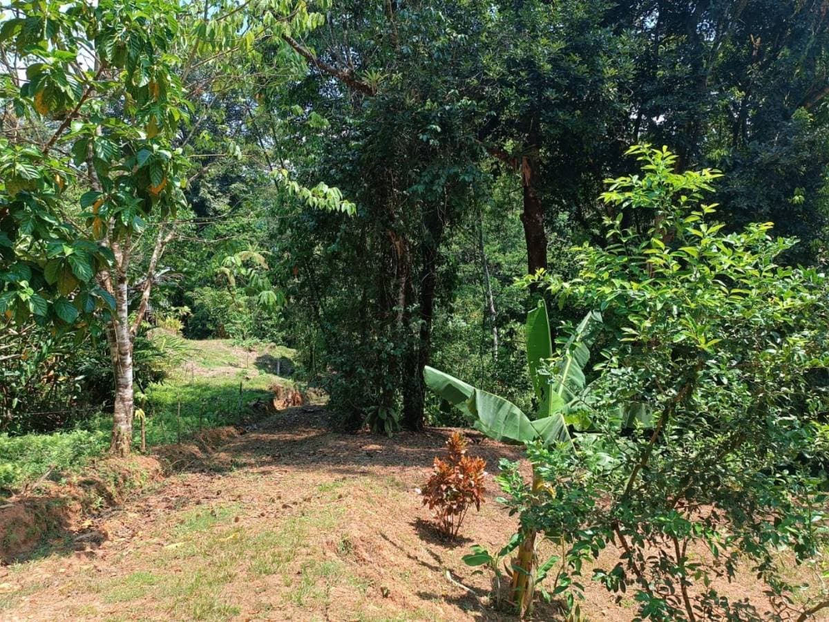 Property at Quepos