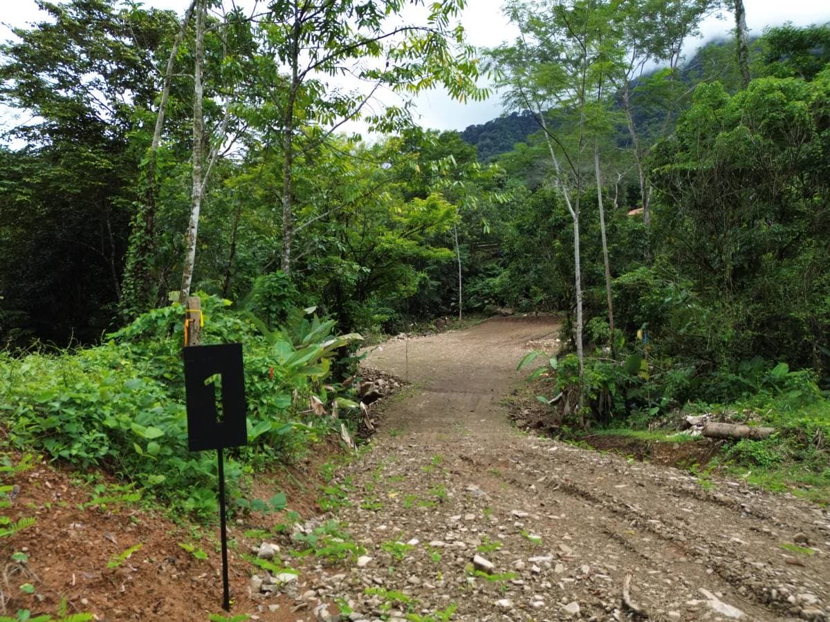 Property at Ojochal