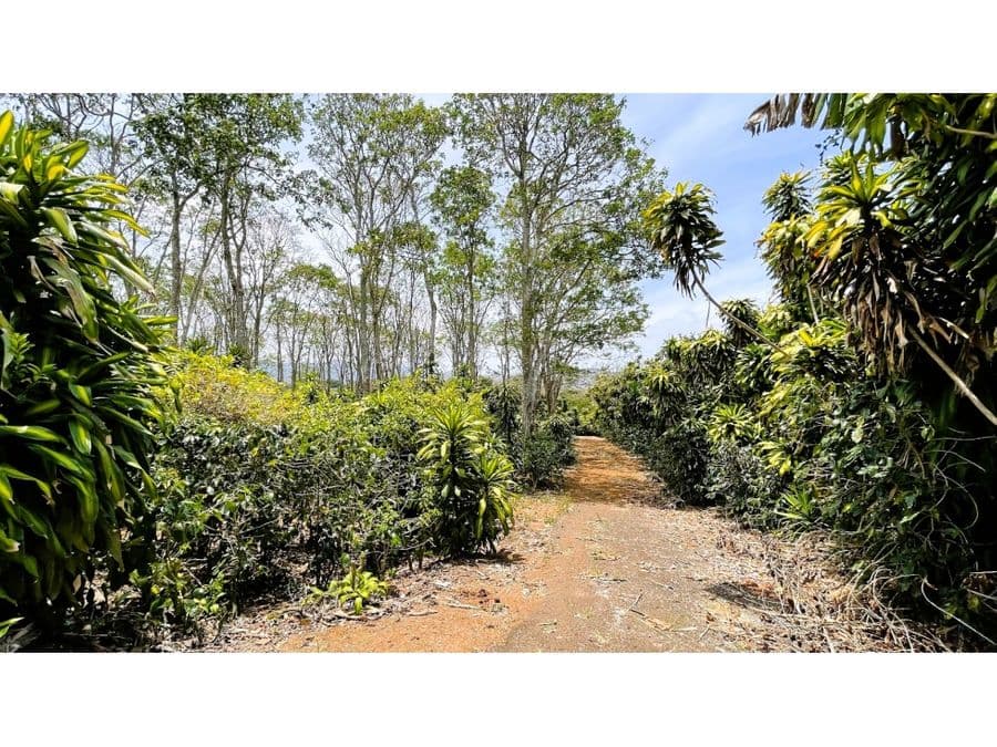 Propiedad en San Isidro