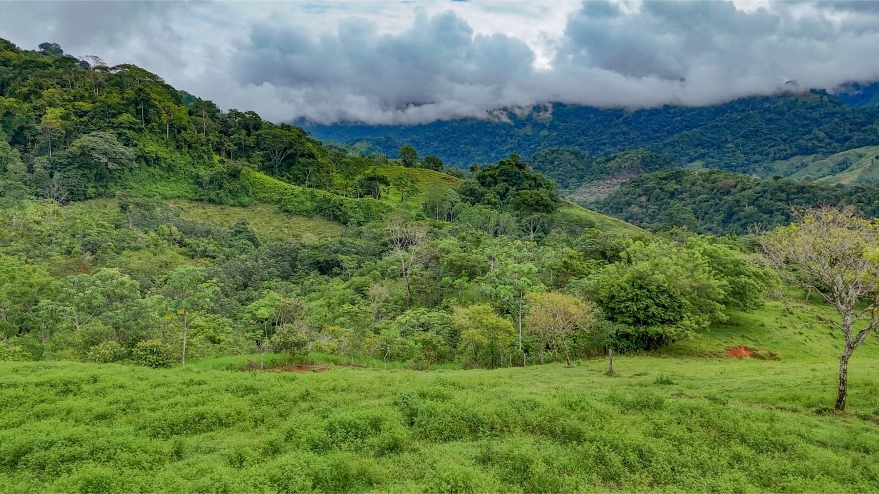 Land at Barú