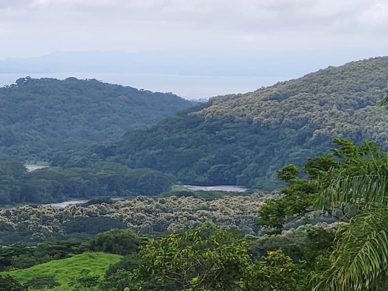 Land at San Jerónimo