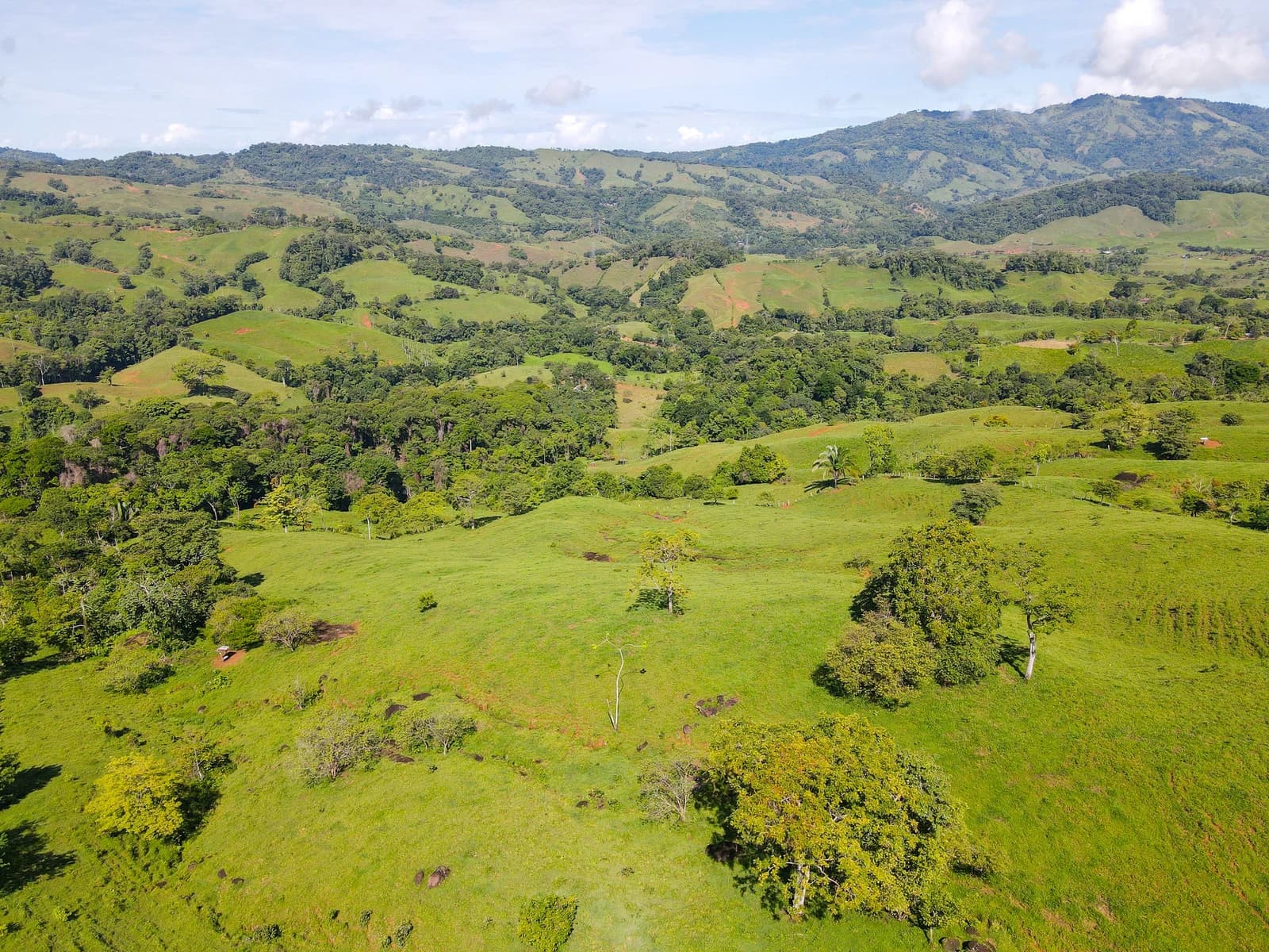 Land at Osa