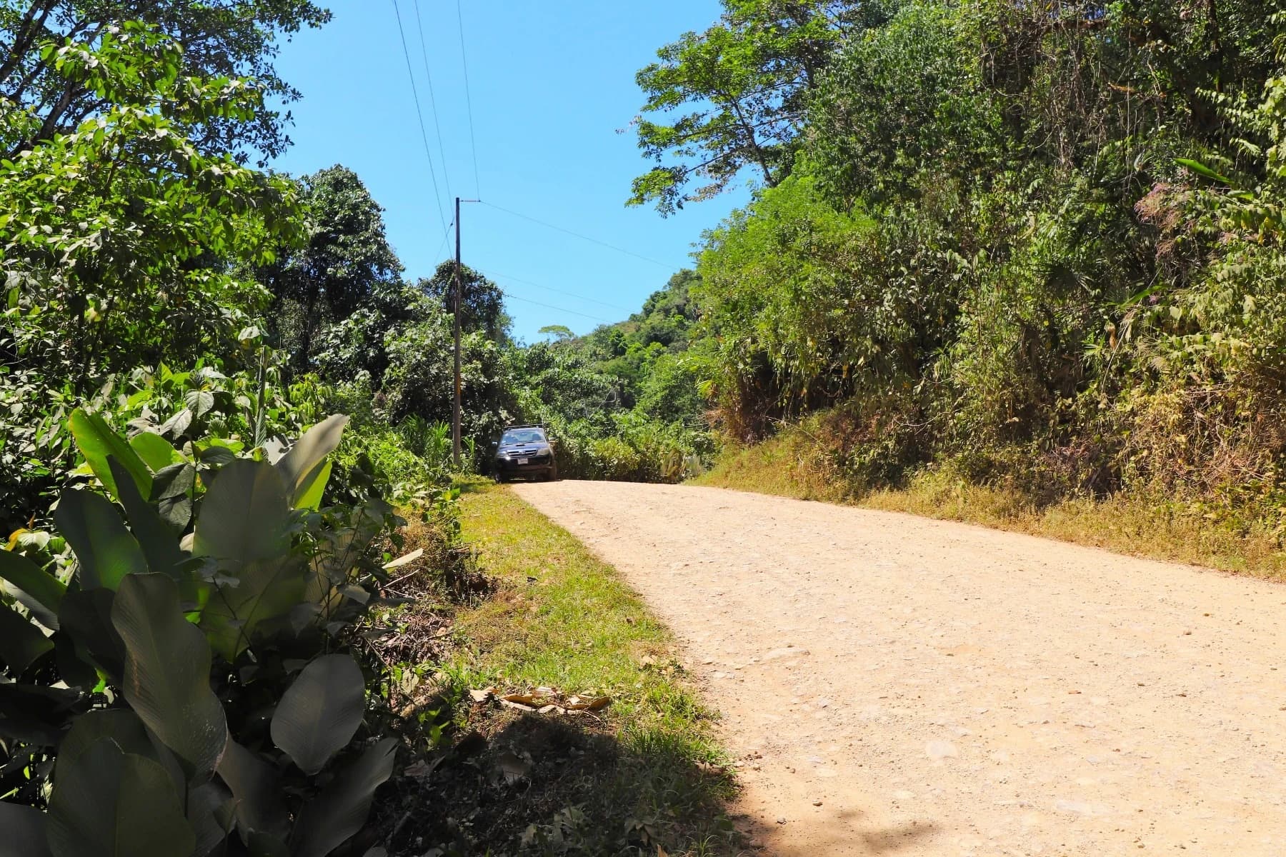 Terreno en Bahía Ballena