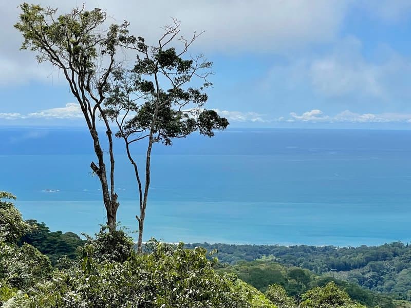 Land at Bahía Ballena