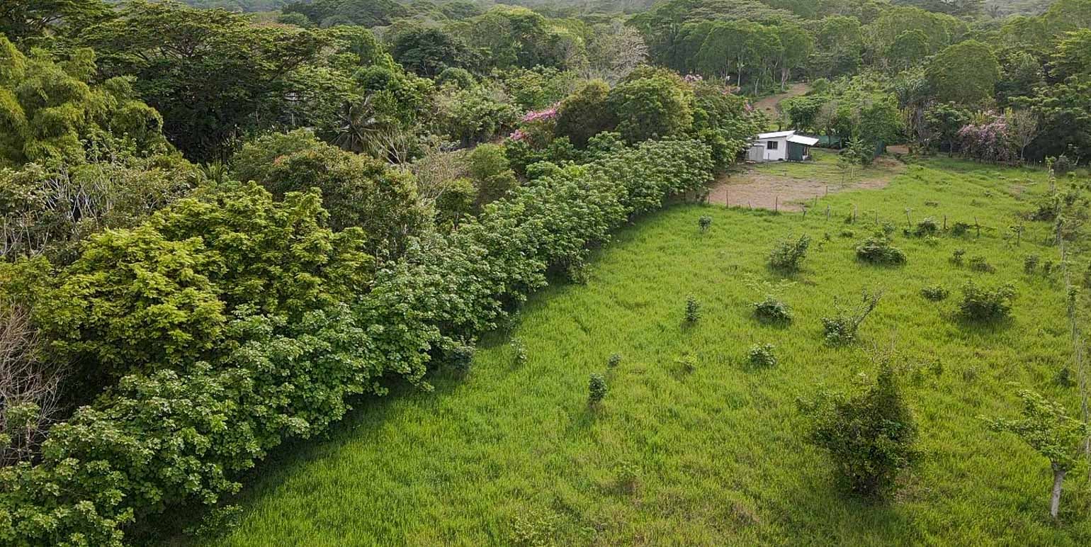 Propiedad en Cóbano