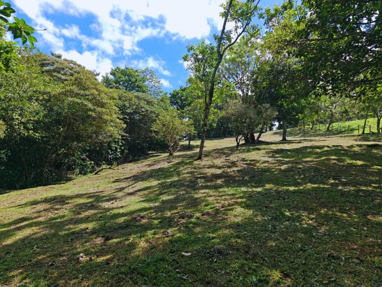 Terreno en Tronadora