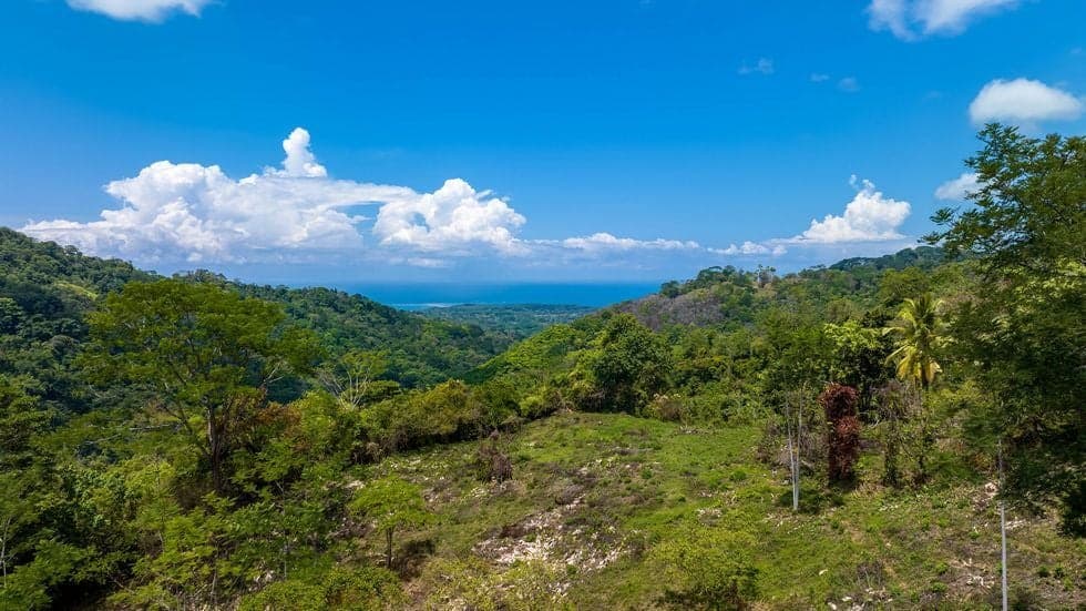 Terreno en Bahía Ballena