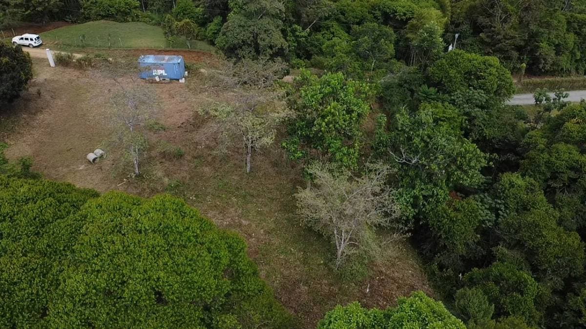 Property at Platanillo