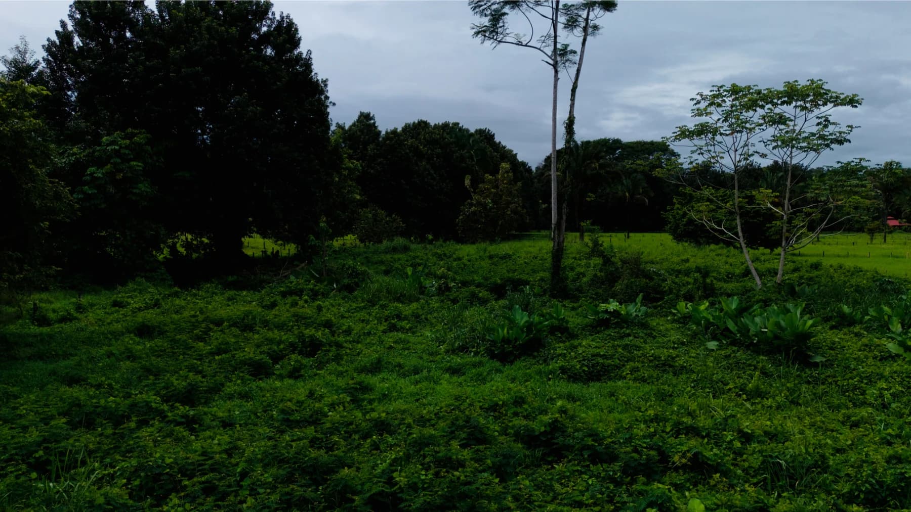 Commercial at Bahía Ballena