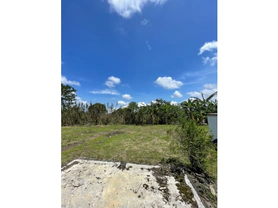 Property at Alajuela