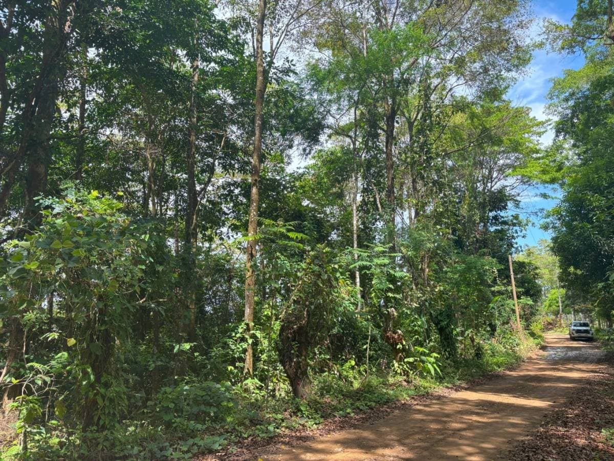 Property at Platanillo