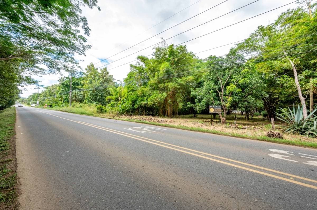 Property at Tamarindo