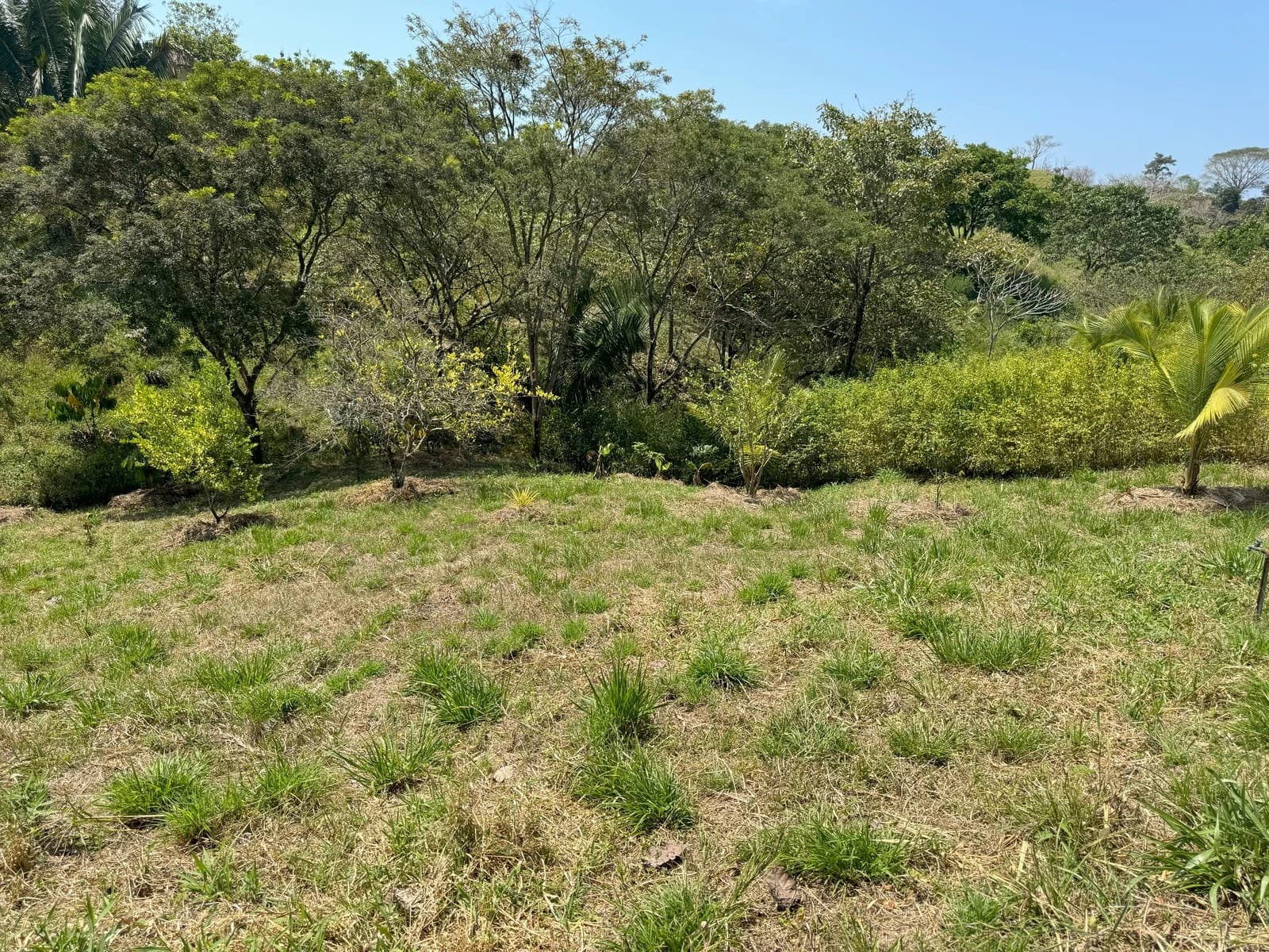 Land at Cóbano