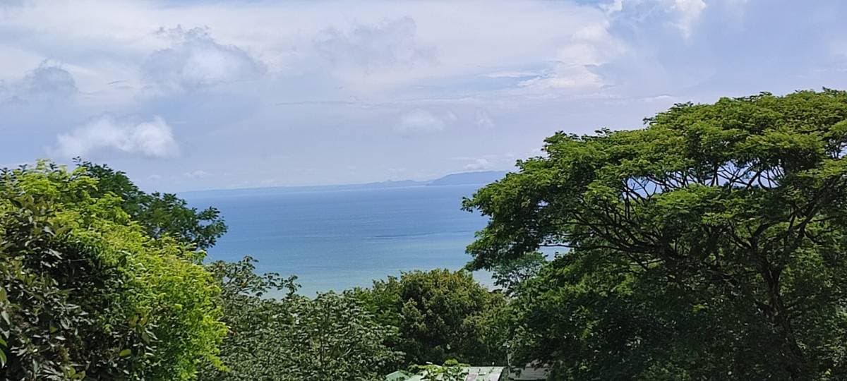 Property at Camaronal