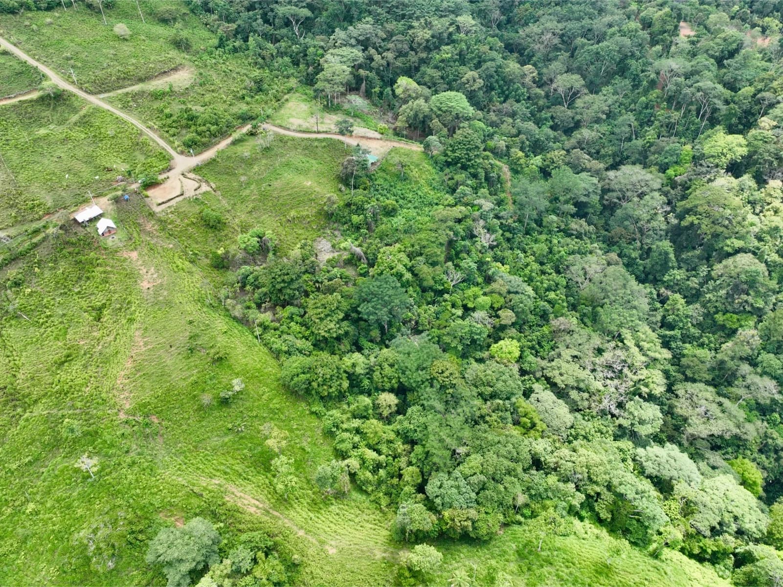 Land at Bahía Ballena