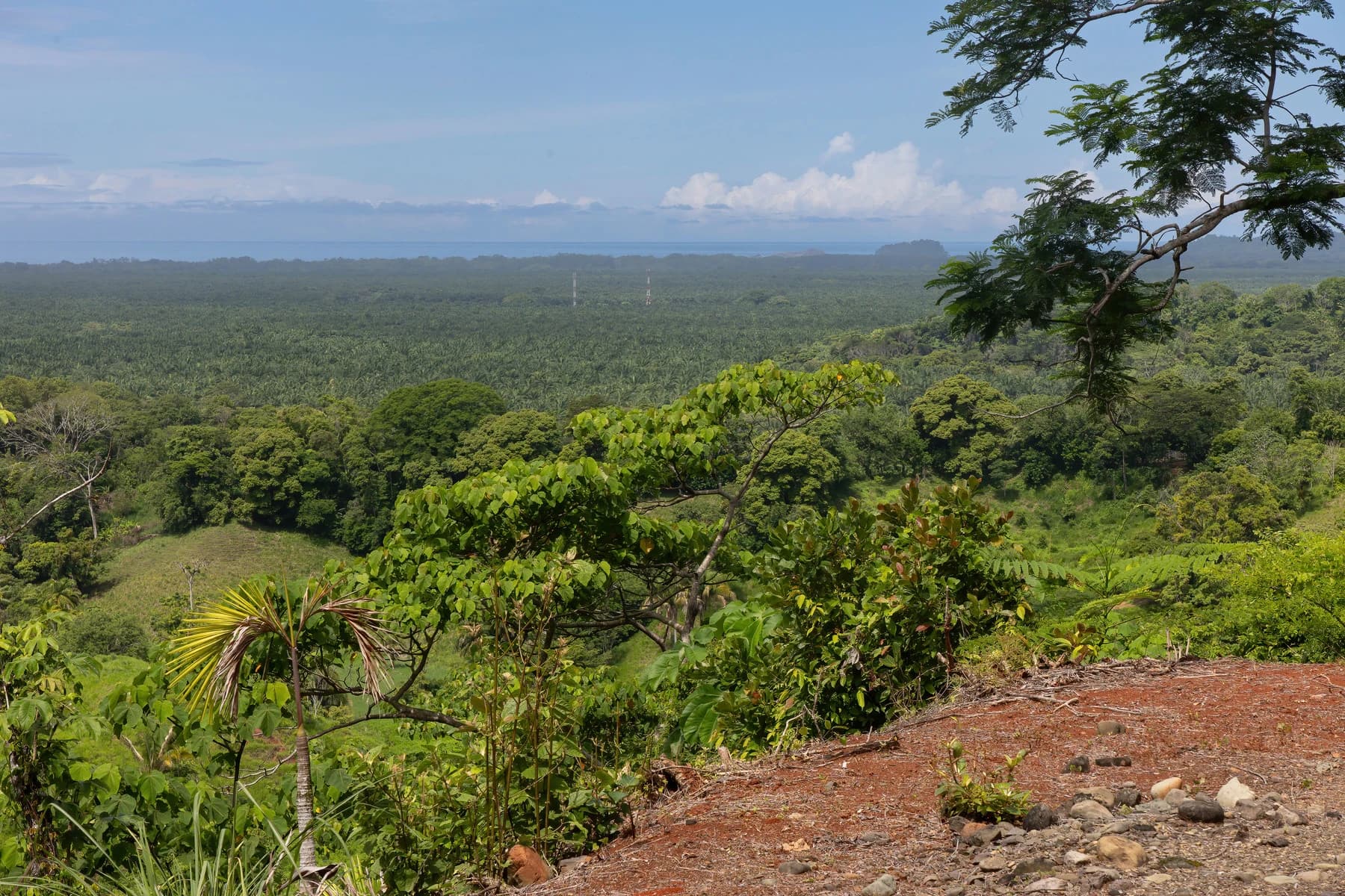 Land at Naranjito