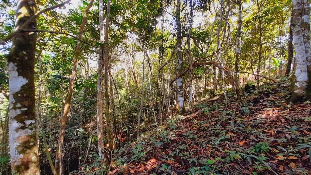 House at San Isidro del General