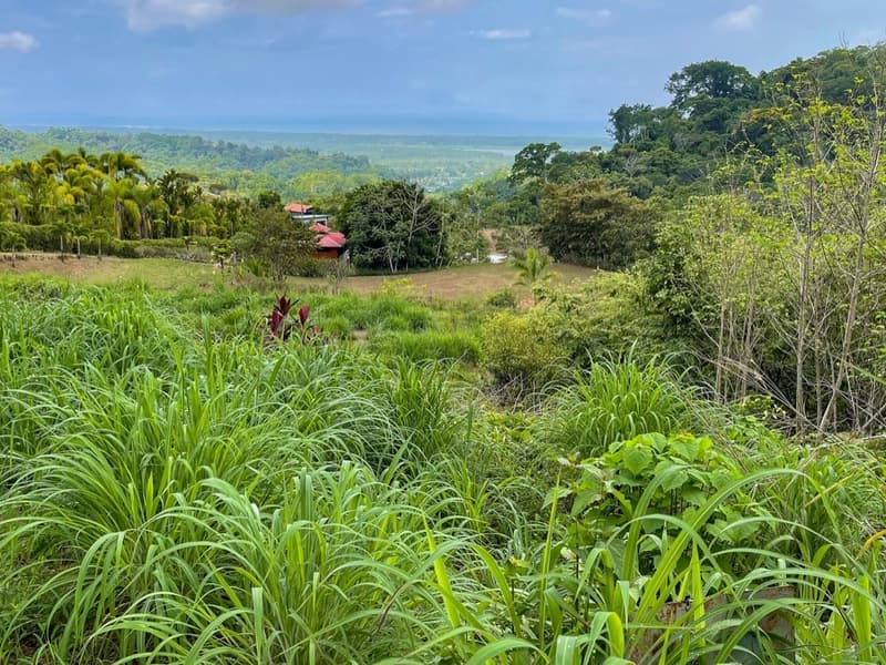 Terreno en Puerto Cortés