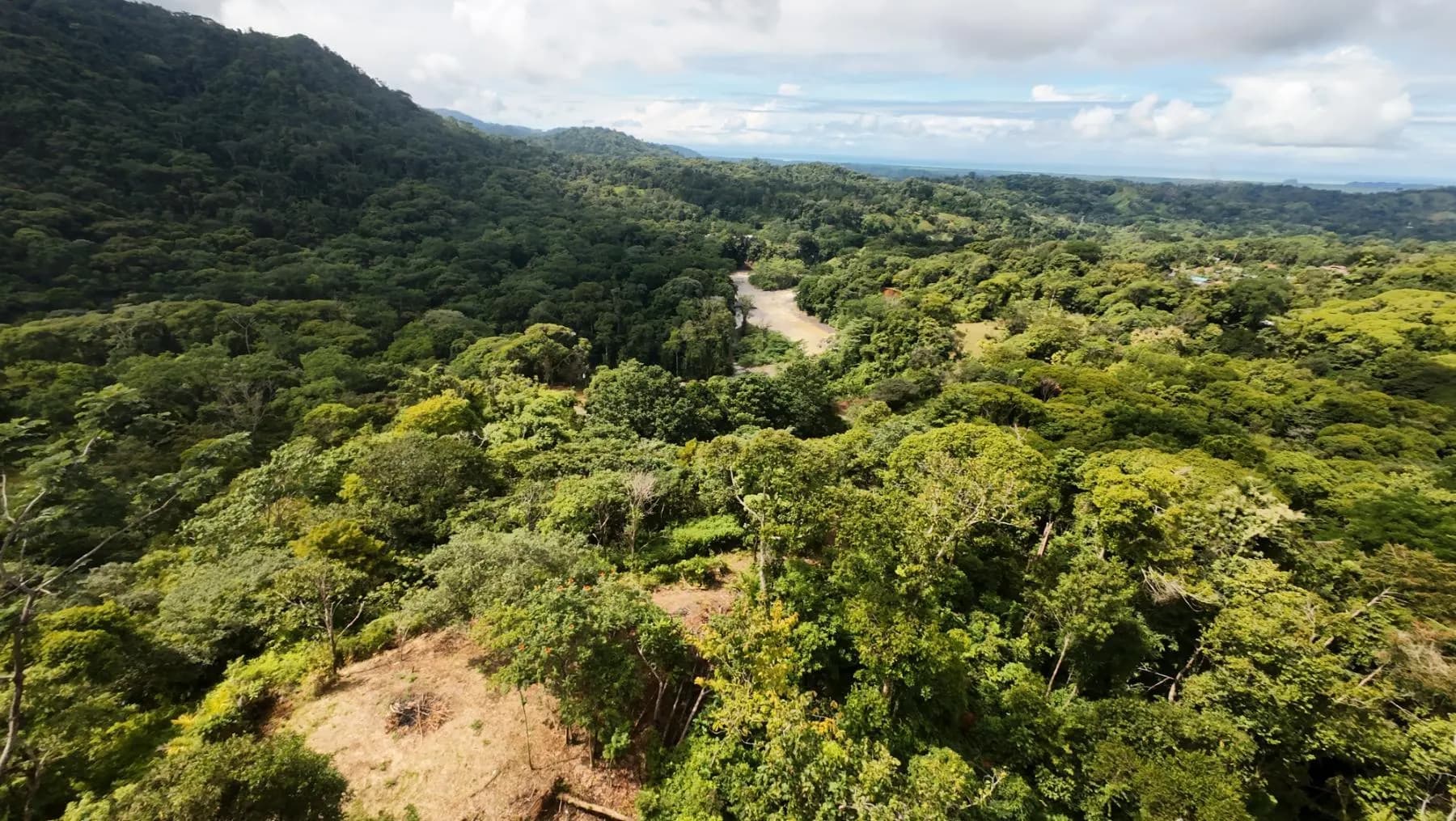 Terreno en Naranjito