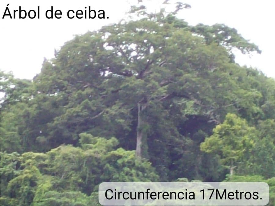 Terreno en Puntarenas