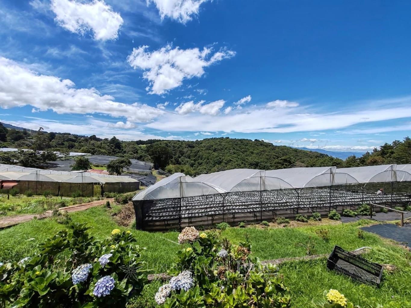 Property at Sabanilla