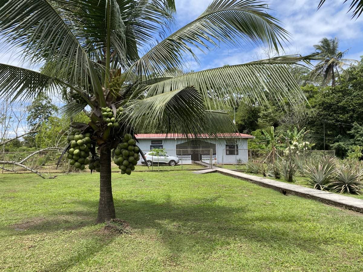 Property at Guácimo