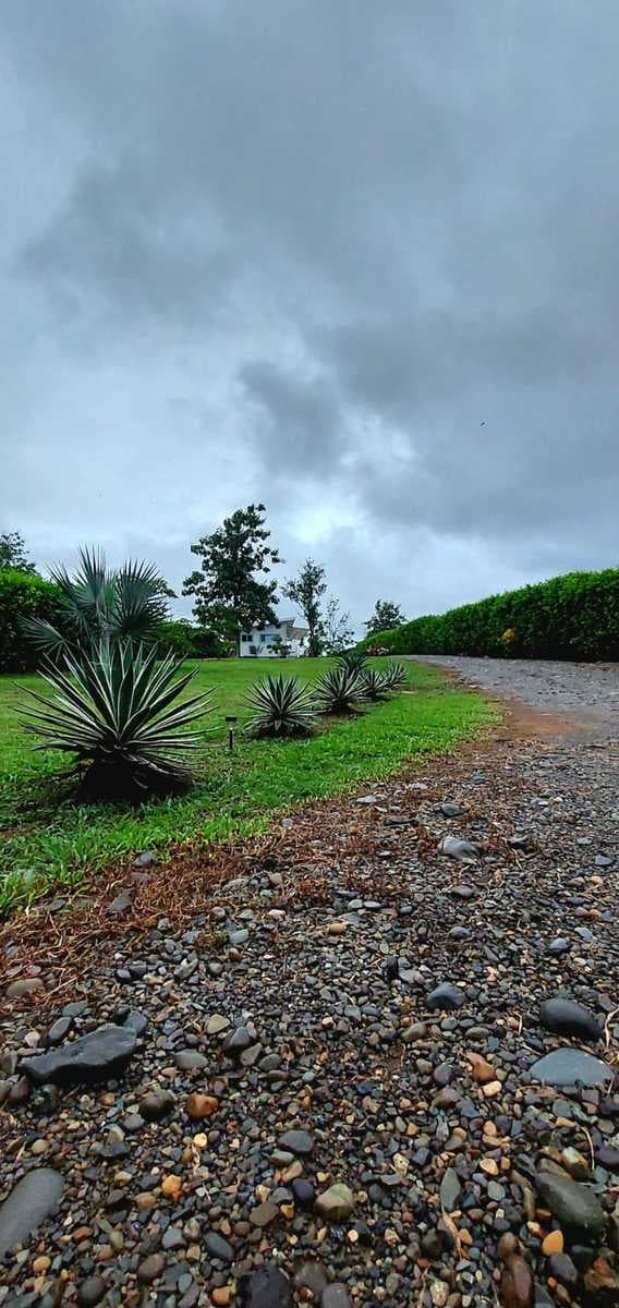Land at Naranjito