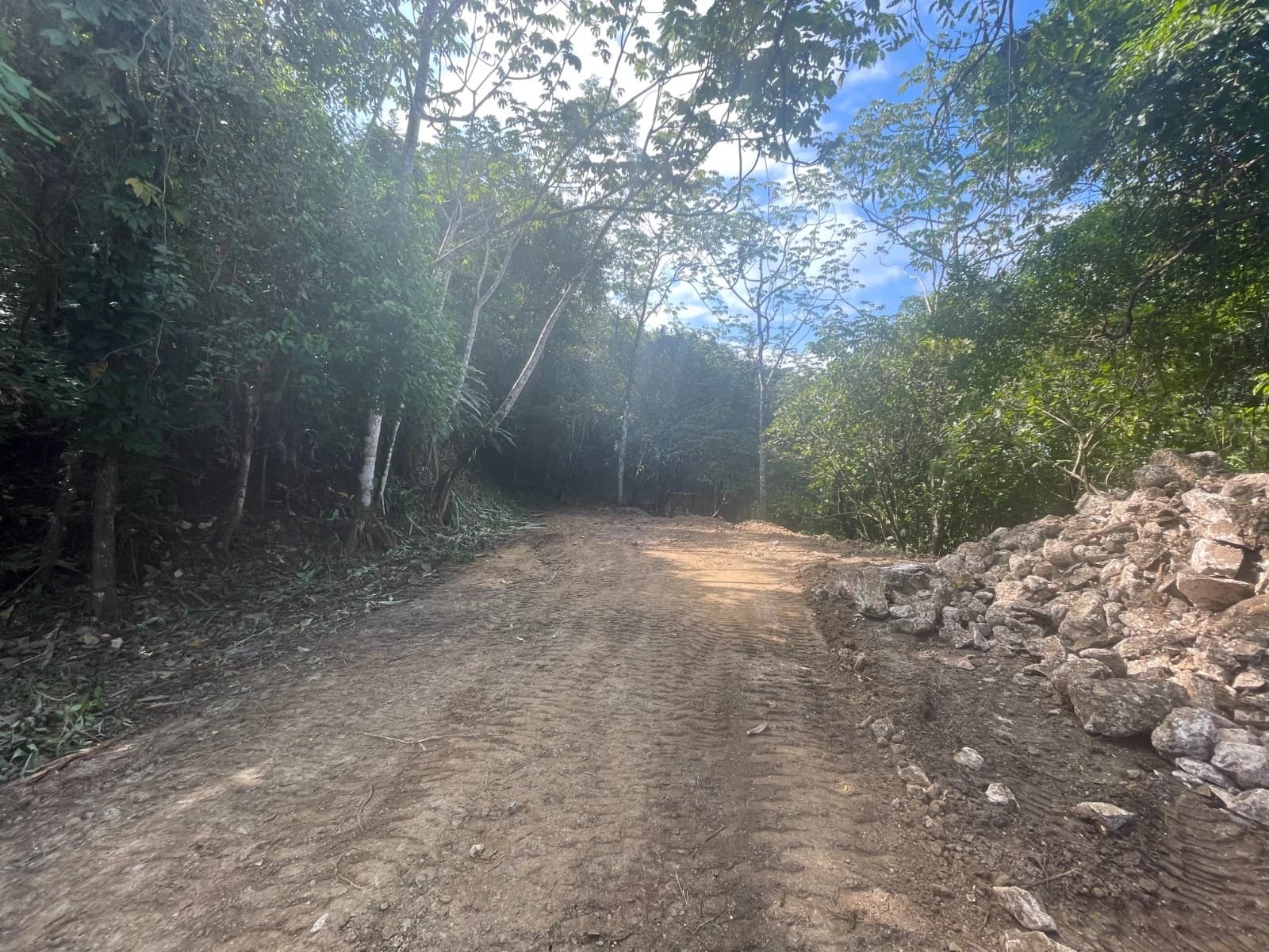 Land at Cóbano