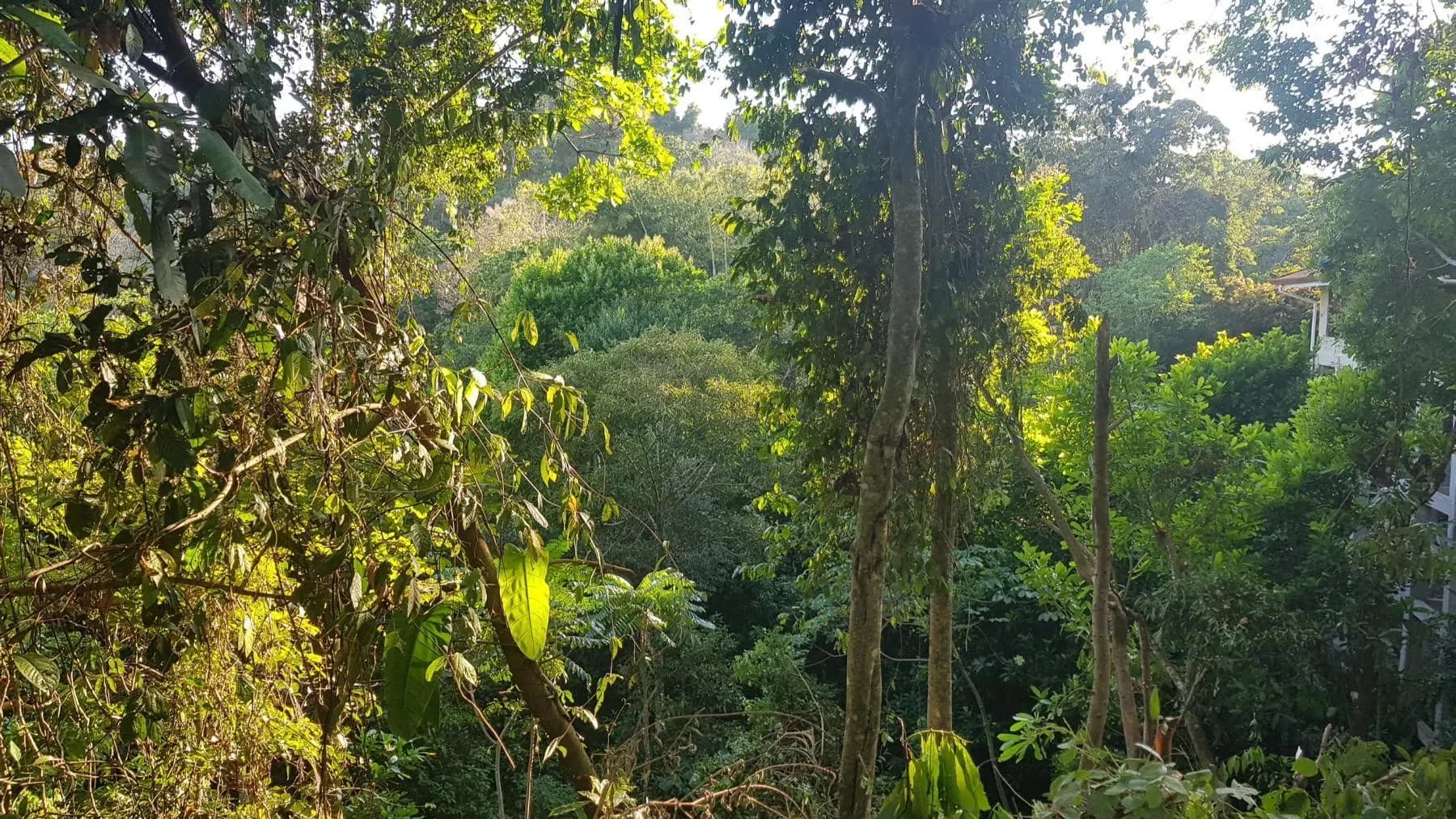 Land at Quepos