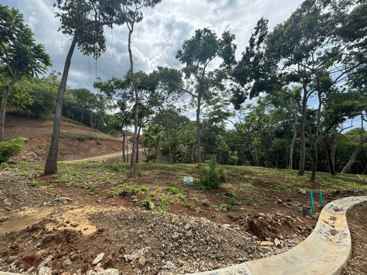 Property at Santa Cruz